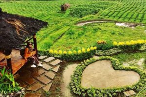 Caffe-Sawah-Pujon-Kidul-compressor-1.jpg