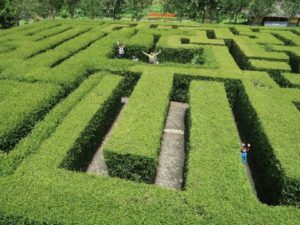 Coban-Rondo-1.jpg