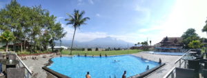 Info wisata dan wahana di Petik Apel Kusuma Agrowisata image 15
