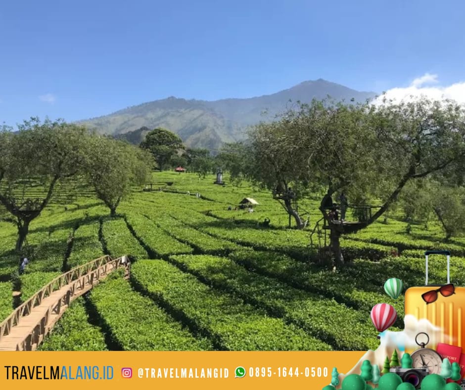 Tempat Wisata Hidden Gem di Malang yang Wajib Kamu Kunjungi