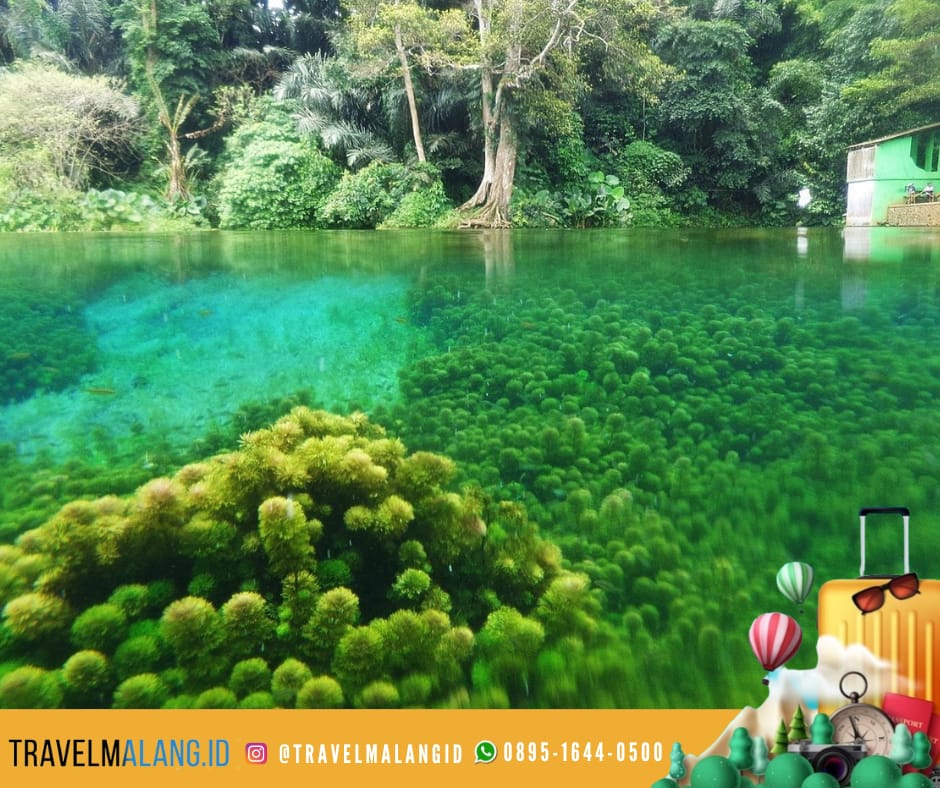 Tempat Wisata Hidden Gem di Malang yang Wajib Kamu Kunjungi